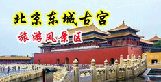 淫女小黄片中国北京-东城古宫旅游风景区